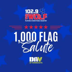 1000 Flag Salute at Savers Woodbury