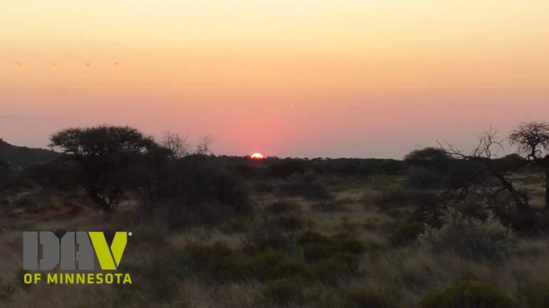 African Safari