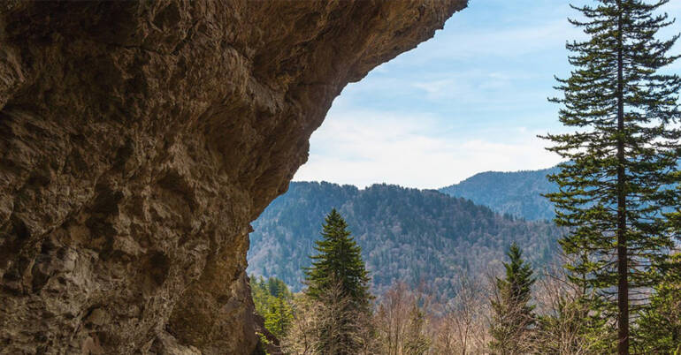 Great Smoky Mountains National Park Hike and Explore