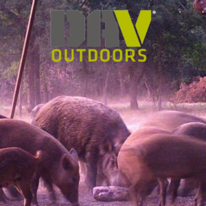 Oklahoma Wild Hog Hunt