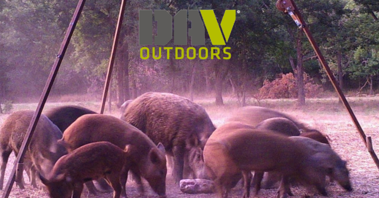 Oklahoma Wild Hog Hunt