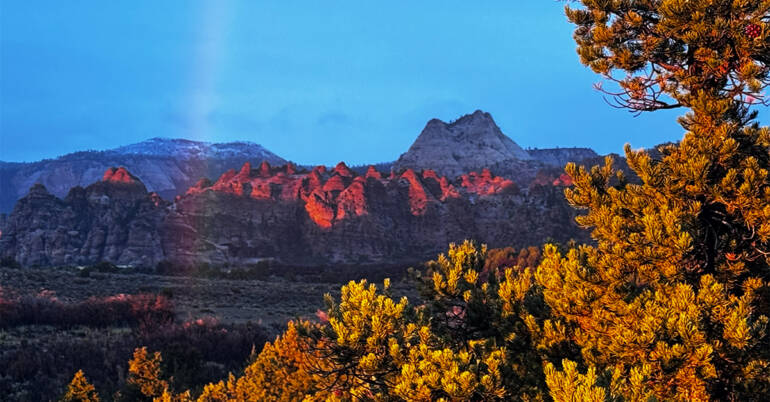 Zion National Park Hike and Explore